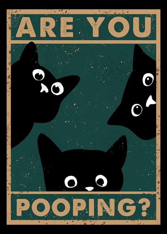 Kedi Kumu Dosyası – Şu Denediğim Kumlara Bir Bakın…